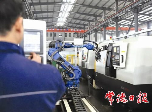 引金融活水，潤產業(yè)之花——常德財政推動非融資性擔保服務高質量發(fā)展